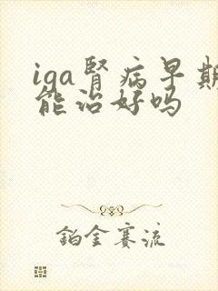 iga肾病早期能治好吗