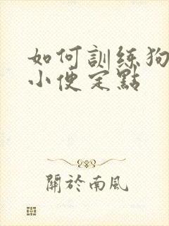 如何训练狗狗大小便定点