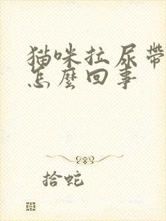 猫咪拉尿带血是怎么回事