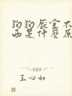 狗狗厌食不吃东西是什么原因