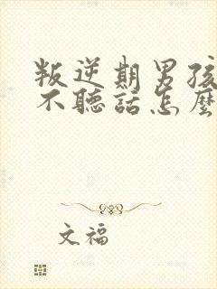 叛逆期男孩孩子不听话怎么教育