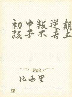 初中叛逆期的男孩子不去上学怎么去引导