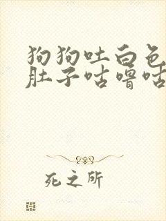 狗狗吐白色粘液肚子咕噜咕噜响