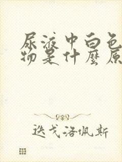 尿液中白色絮状物是什么原因