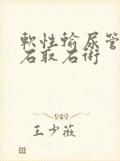 软性输尿管镜碎石取石术