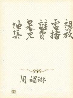 他是谁电视剧全集免费播放24集