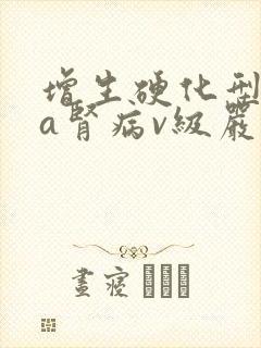 增生硬化型iga肾病v级严重不