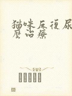 猫咪反复尿闭怎么治疗