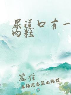 尿道口有一排小肉粒