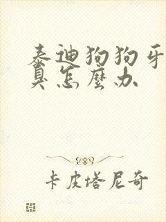 泰迪狗狗牙黄口臭怎么办