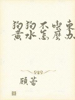 狗狗不吃东西吐黄水怎么办