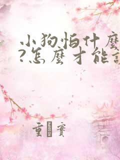 小狗怕什么味道?怎么才能让它不乱屙尿