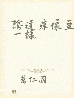 阴道痒像豆腐渣一样