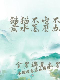 猫猫不吃不喝吐黄水怎么办