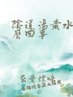 阴道汤黄水是怎么回事