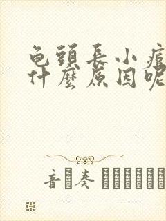 龟头长小痘痘是什么原因呢