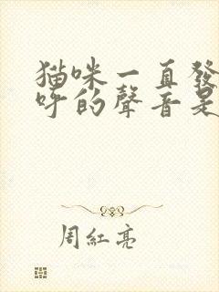 猫咪一直发出呼呼的声音是怎么回事