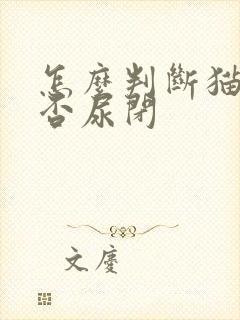 怎么判断猫咪是否尿闭