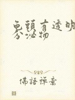 龟头有透明液体分泌物