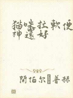 猫咪拉软便但精神还好