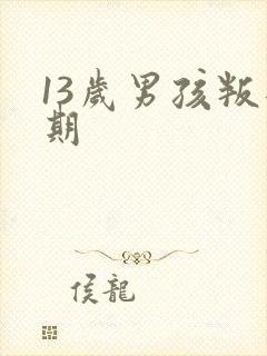 13岁男孩叛逆期