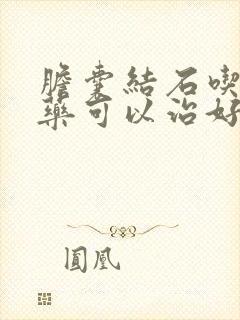 胆囊结石吃什么药可以治好