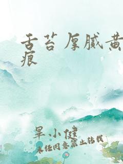 舌苔厚腻黄有齿痕