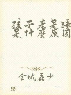 孩子老是睡不醒是什么原因