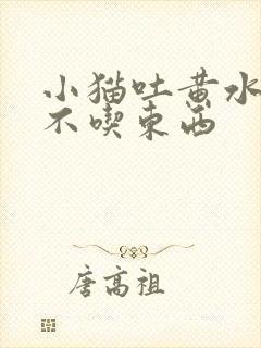 小猫吐黄水拉稀不吃东西