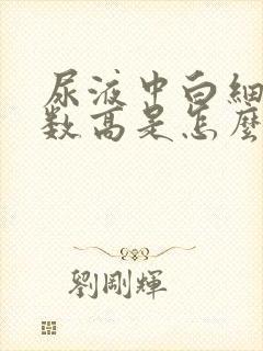 尿液中白细胞计数高是怎么回事