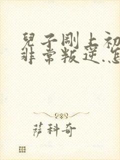 儿子刚上初中.非常叛逆.怎么办