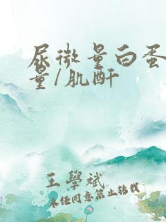 尿微量白蛋白定量/肌酐