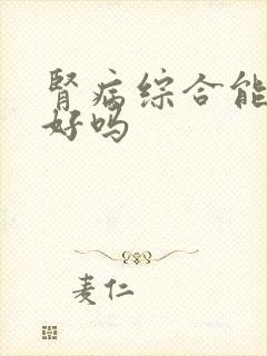 肾病综合能治疗好吗