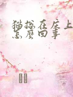 猫总在床上尿是怎么回事