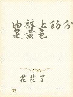 内裤上的分泌物是黄色