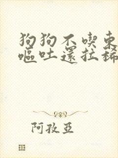 狗狗不吃东西还呕吐还拉稀没精神怎么办