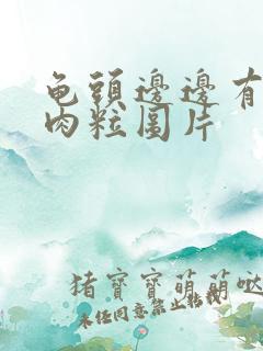 龟头边边有白色肉粒图片