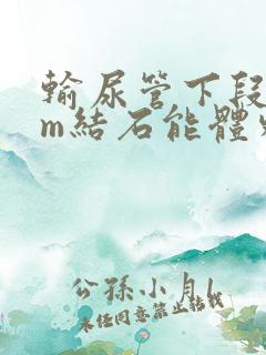 输尿管下段7mm结石能体外碎石吗