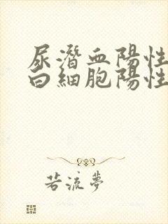 尿潜血阳性,尿白细胞阳性是咋回事