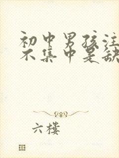 初中男孩注意力不集中是缺什么吗