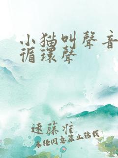 小猫叫声音播放循环声