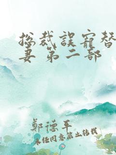 总裁误宠替身甜妻 第二部