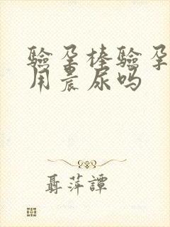 验孕棒验孕必须用晨尿吗