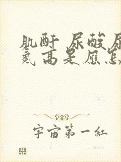 肌酐 尿酸尿素氮高是应怎样治疗