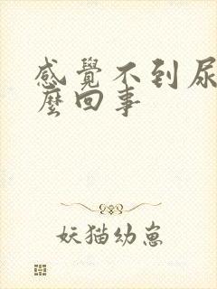 感觉不到尿胀怎么回事