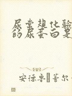 尿常规化验单中的尿蛋白是什么