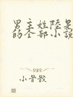 男主姓陆是总裁的全部小说