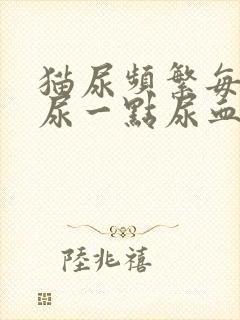 猫尿频繁每次只尿一点尿血