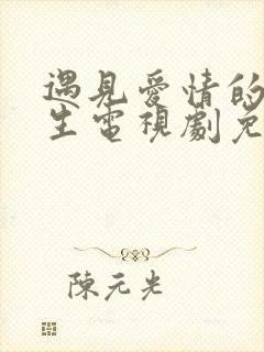 遇见爱情的利先生电视剧免费观看全集