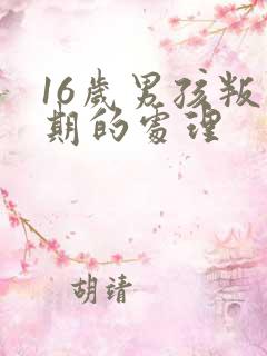 16岁男孩叛逆期的处理